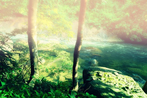 Cascata Natura Paesaggio Sfondo Mattina Nebbia — Foto Stock