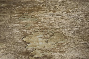 Eski kahverengi ve gri beton duvar sanatı arka planda sıkıntı yarattı