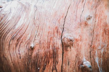 yumuşak odak kahverengi ahşap dokusu arkaplanı 