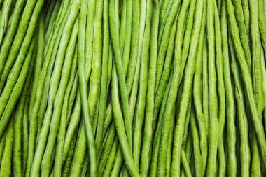 yardlong fasulye