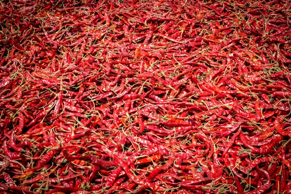 Chilli... — Fotografia de Stock