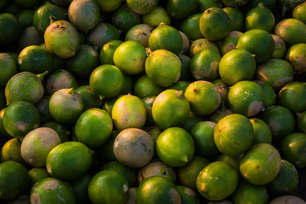 Limón verde — Foto de Stock