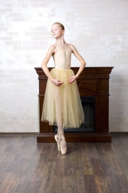 çekici bir genç balerin Studio portresi