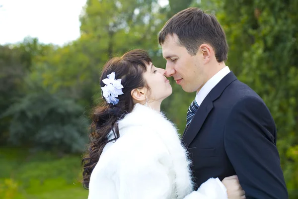 Retrato de una pareja amorosa —  Fotos de Stock