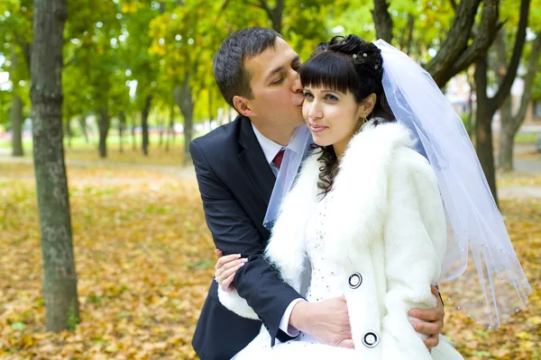 Bräutigam küsst Braut — Stockfoto