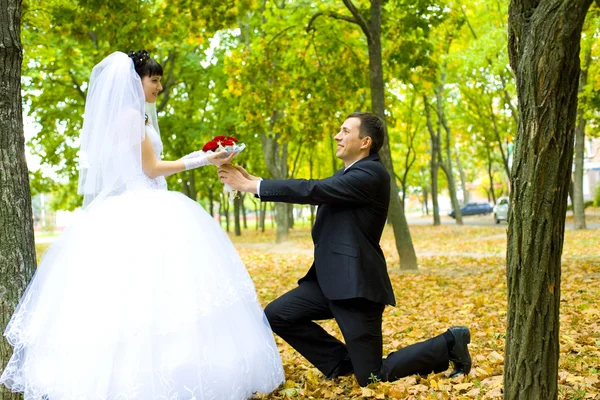 Groom gives to the bride flowers — Stock Photo, Image