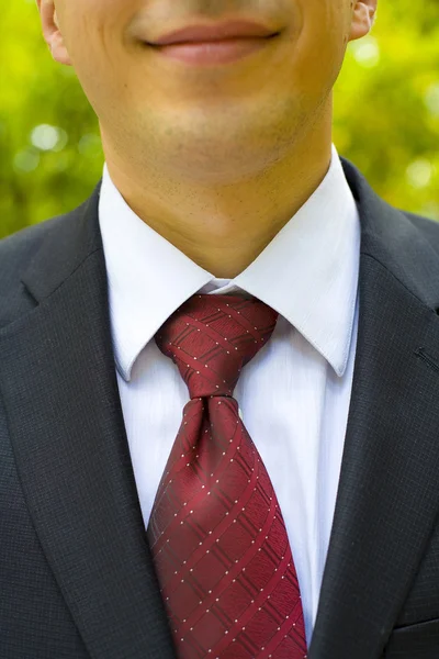 Краватка нареченого крупним планом — стокове фото