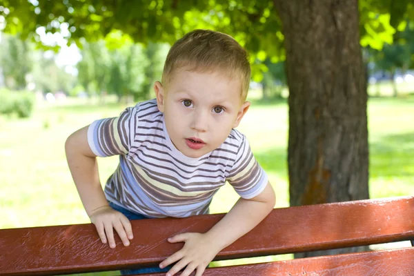 Porträt des vierjährigen Jungen — Stockfoto