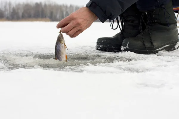 Pesca de Inverno — Fotografia de Stock