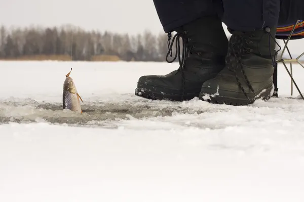 Winter visserij — Stockfoto