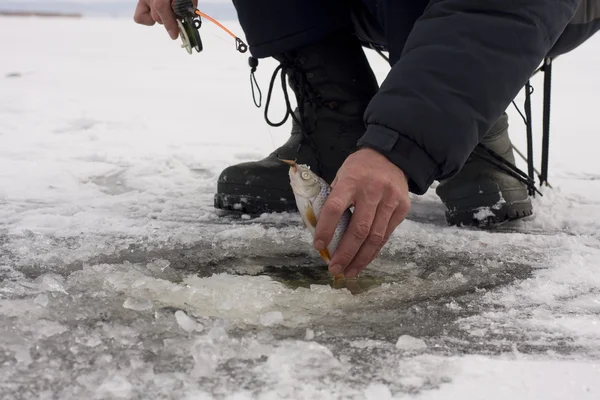 Pesca de Inverno — Fotografia de Stock