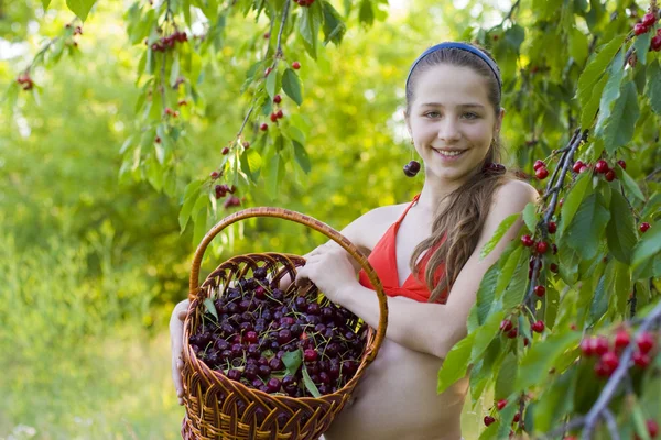 Молодая девушка в саду со сладкой корзиной вишни — стоковое фото