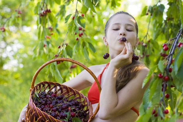 Ung flicka i trädgården med en sweet cherry korg — Stockfoto