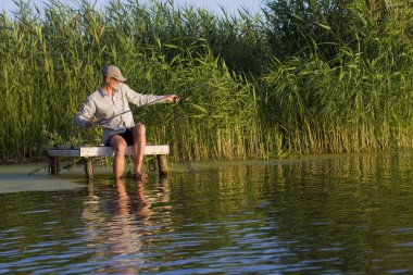 Köpekler balıkçı