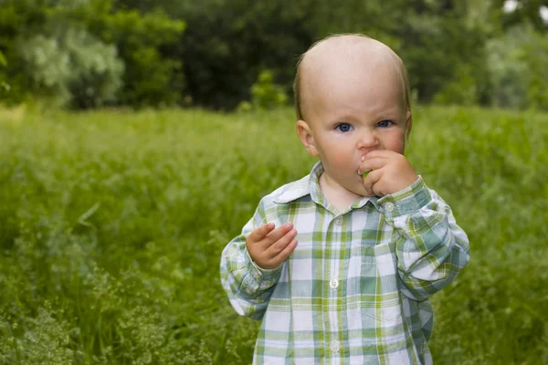 Kid in grass — Stock Photo, Image