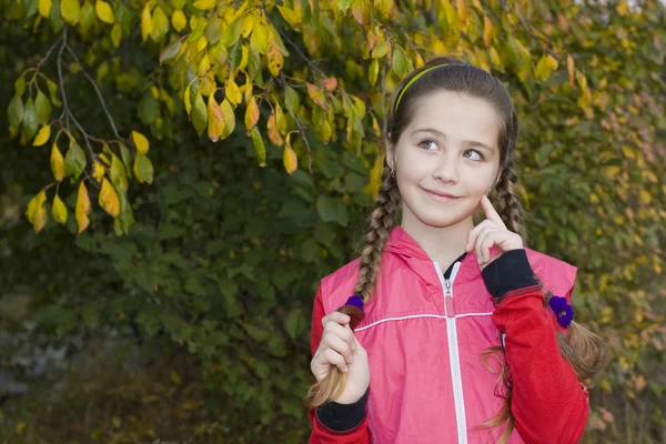 Portrait of the smiling beautiful girl with plaits — Stock Photo, Image