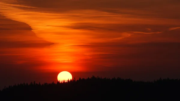 Tramonto su legno - tenue bagliore arancione — Foto Stock