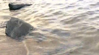 küçük dalgalar su