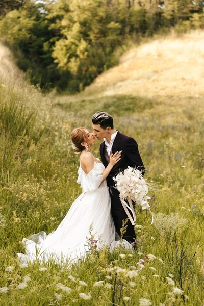 Vor Dem Hintergrund Der Hügel Umarmen Und Küssen Sich Brautpaare — Stockfoto