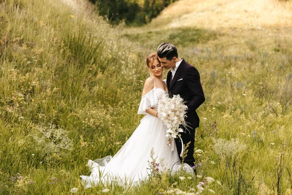 Casamento Casal Recém Casados Ternamente Abraço Beijo Fundo Das Colinas — Fotografia de Stock