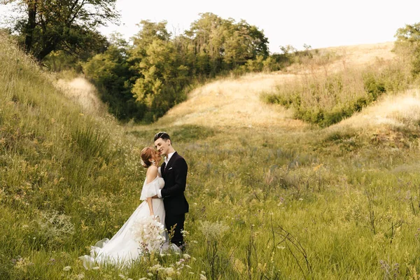 Junges Hochzeitspaar Umarmt Sich Vor Dem Hintergrund Der Hügel Hochwertiges — Stockfoto