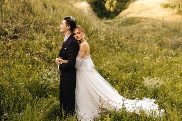 Noiva Abraça Elegante Bonito Noivo Belo Casal Natureza Contra Pano — Fotografia de Stock