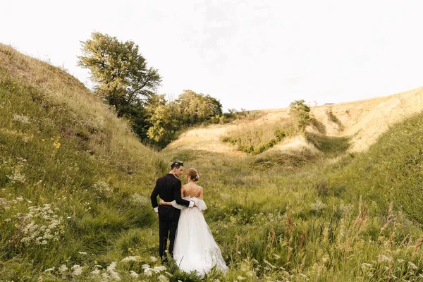 Casal Elegante Recém Casados Caminhando Abraçando Fundo Natureza Foto Alta — Fotografia de Stock