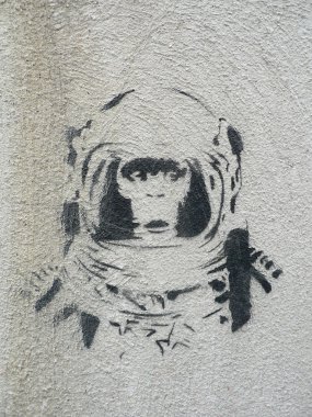şempanze astronot 1