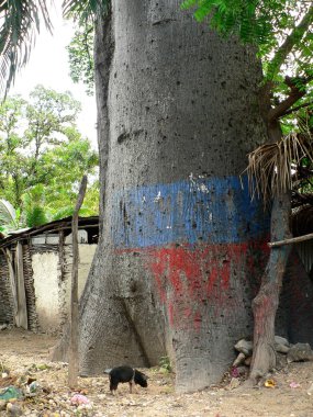 Haiti tree clipart