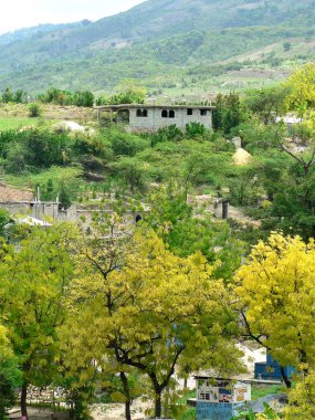 Haiti hillside