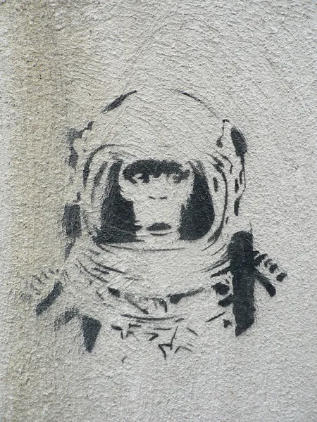 şempanze astronot 1