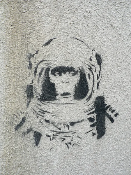 黑猩猩宇航员 1 图库图片