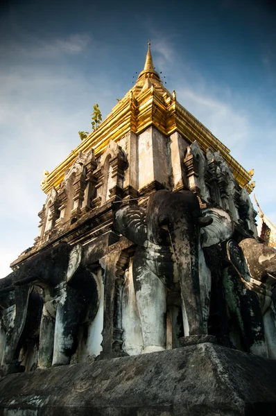 Stuckatur skulptur pagoda wat chiang Elefantmannen. Chiang mai, thailand — Stockfoto
