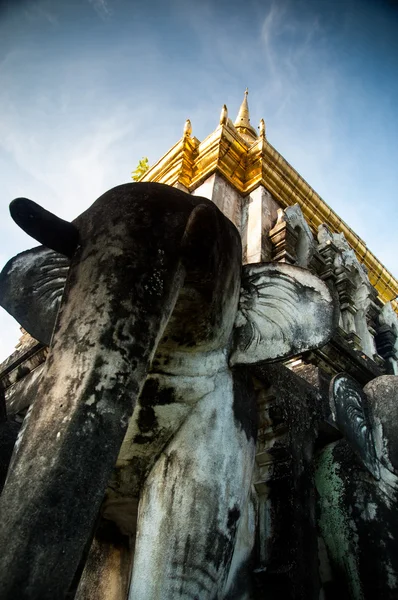Stucco sculpture éléphant pagode Wat Chiang Man. Chiang Mai, Thaïlande — Photo