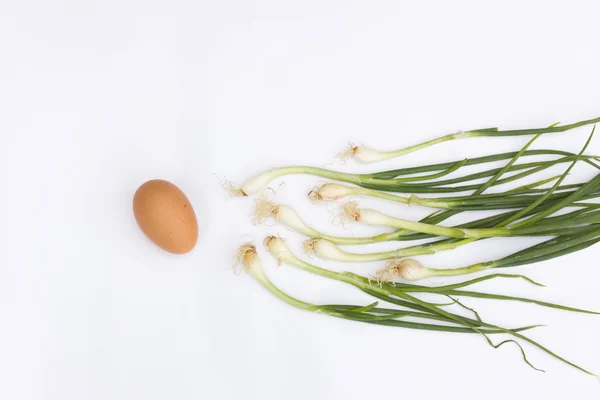 Scallion and egg — Stock Photo, Image