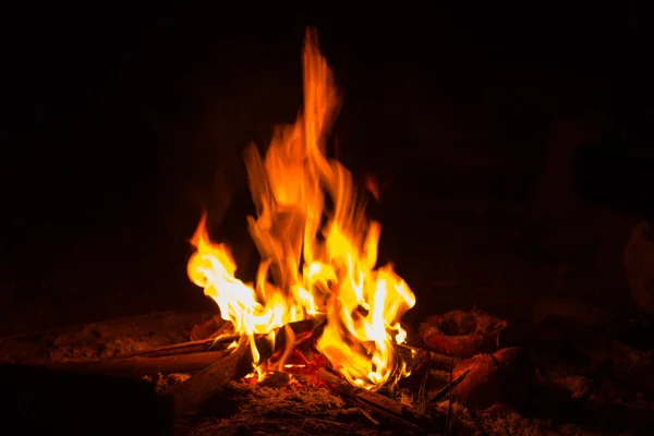 Campfire — Stock Photo, Image