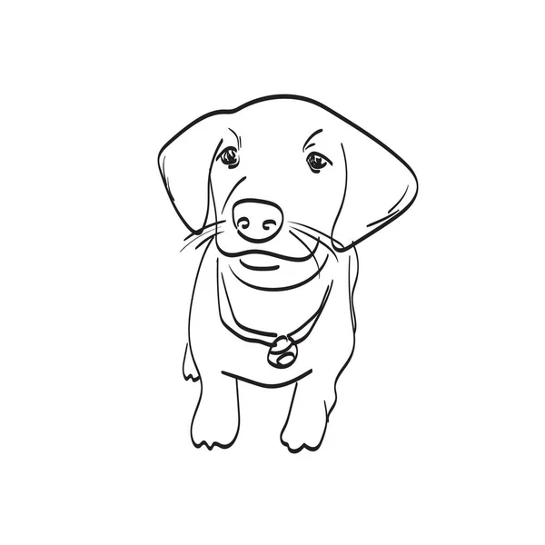 Desenho De Rabisco Ilustração Cachorro Animado Em Esboço Preto E Branco  Vetor PNG , Desenho De Carro, Desenho De Desenho Animado, Desenho De  Cachorro Imagem PNG e Vetor Para Download Gratuito