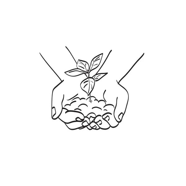 Lijn Kunst Hand Houden Jonge Plant Illustratie Vector Geïsoleerd Witte — Stockvector
