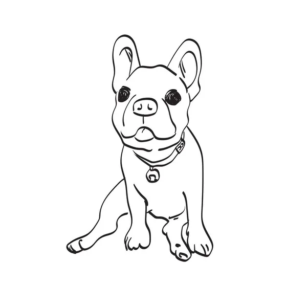 Filhote Cachorro Francês Bulldog Ilustração Vetor Isolado Fundo Branco Linha —  Vetores de Stock