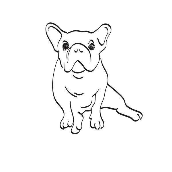 Bulldog Sentado Ilustración Vector Mano Dibujado Aislado Blanco Fondo Línea — Vector de stock
