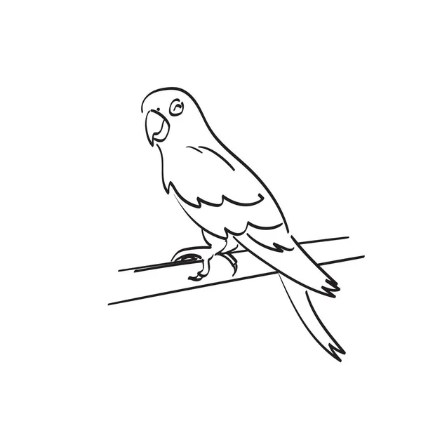 Усміхнений Папуга Ілюстрації Дерева Векторна Рука Намальована Ізольована Білому Тлі — стоковий вектор