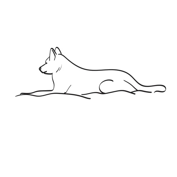 Zijaanzicht Hond Liggend Bed Illustratie Vector Hand Getrokken Geïsoleerd Witte — Stockvector