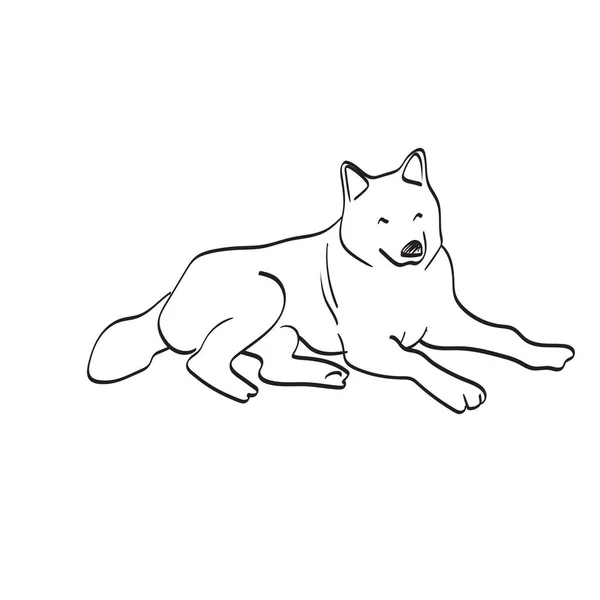 Hond Liggend Grond Illustratie Vector Hand Getrokken Geïsoleerd Witte Achtergrond — Stockvector