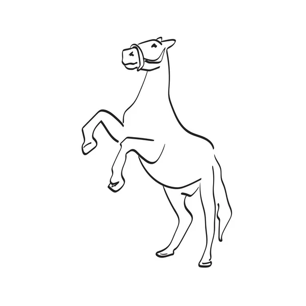 Zwei Beine Pferd Illustration Vektor Hand Gezeichnet Isoliert Auf Weißem — Stockvektor