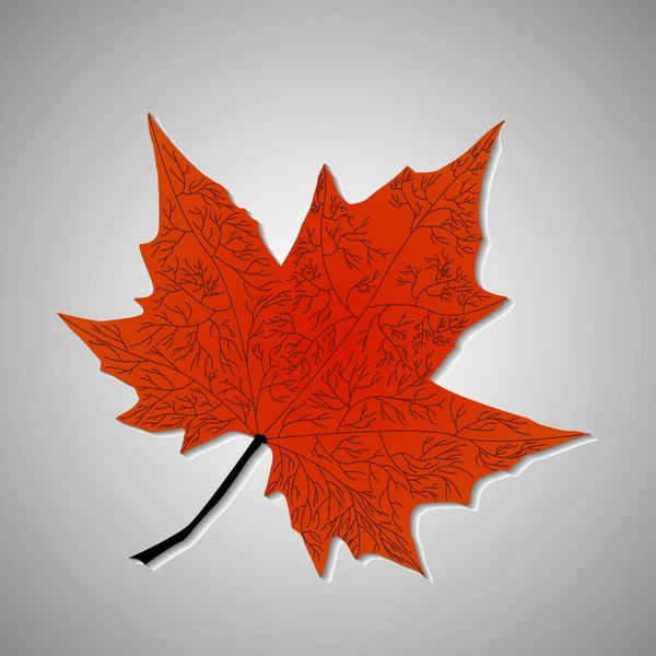 Hoja Arce Otoño Sobre Fondo Gris Ilustración Vectorial — Vector de stock