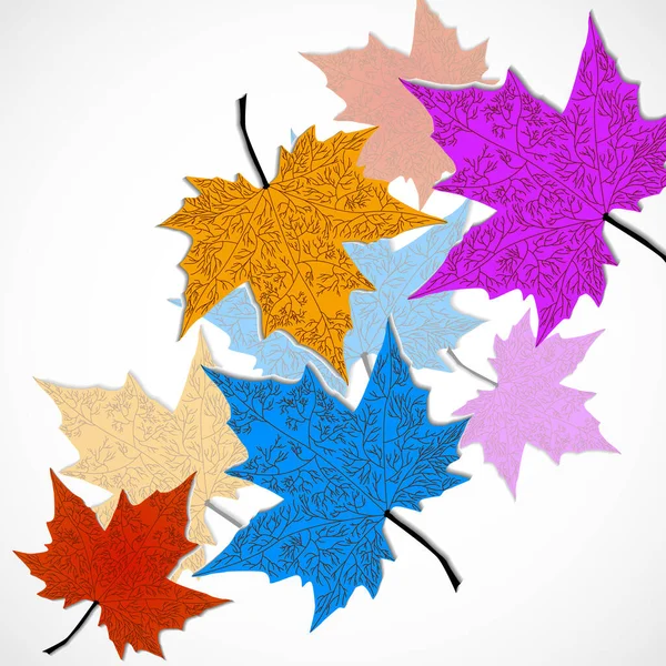 Feuilles Érable Automne Colorées Sur Fond Blanc Illustration Vectorielle — Image vectorielle