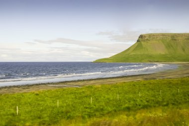 İzlandalı Yalı puslu yeşil tepenin arka plan