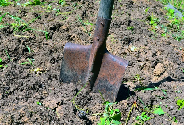 Schop de grond — Stockfoto