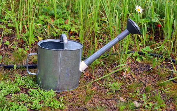 Rega do jardim pode — Fotografia de Stock