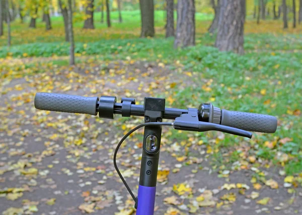 Fragmento Scooter Eléctrico Polvoriento Bosque Otoño Borroso Parque Caída Hojas — Foto de Stock